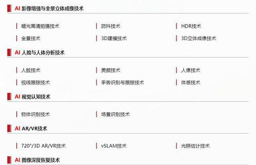 AI視覺(jué)與概念識(shí)別 基礎(chǔ)軟件服務(wù)，下一個(gè)產(chǎn)業(yè)變革的核心風(fēng)口